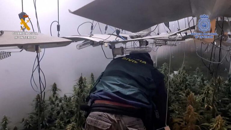 Desarticulada una organización internacional dedicada al tráfico de estupefacientes desde España hasta Bélgica