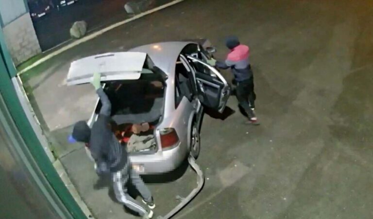 La Guardia Civil desmantela una organización criminal especializada en robos por el procedimiento del alunizaje