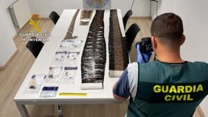 La Guardia Civil recupera 100 piezas de marfil, pieles de serpientes y lagartos dispuestos para su venta ilegal en el País Vasco