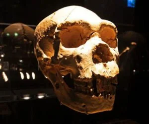 Museo de la Evolución Humana