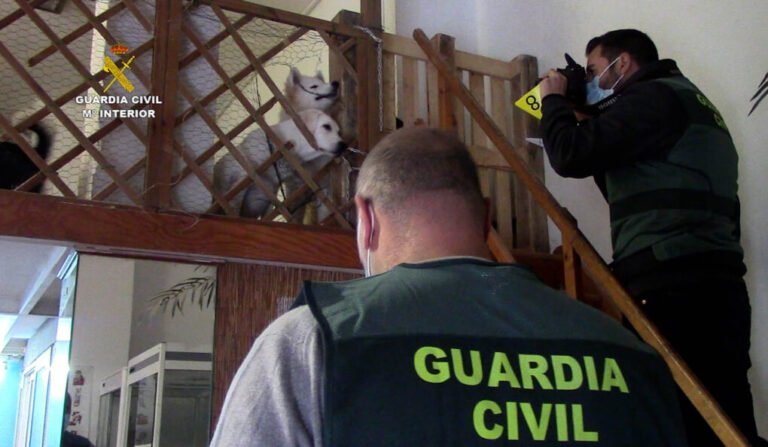 La Guardia Civil investiga a una empresa por la comercialización ilícita de animales domésticos