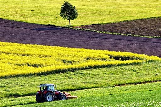 Agricultores y ganaderos pueden acogerse a las reducciones recogidas en el real decreto-ley por la sequía y en la orden de módulos del IRPF 2021