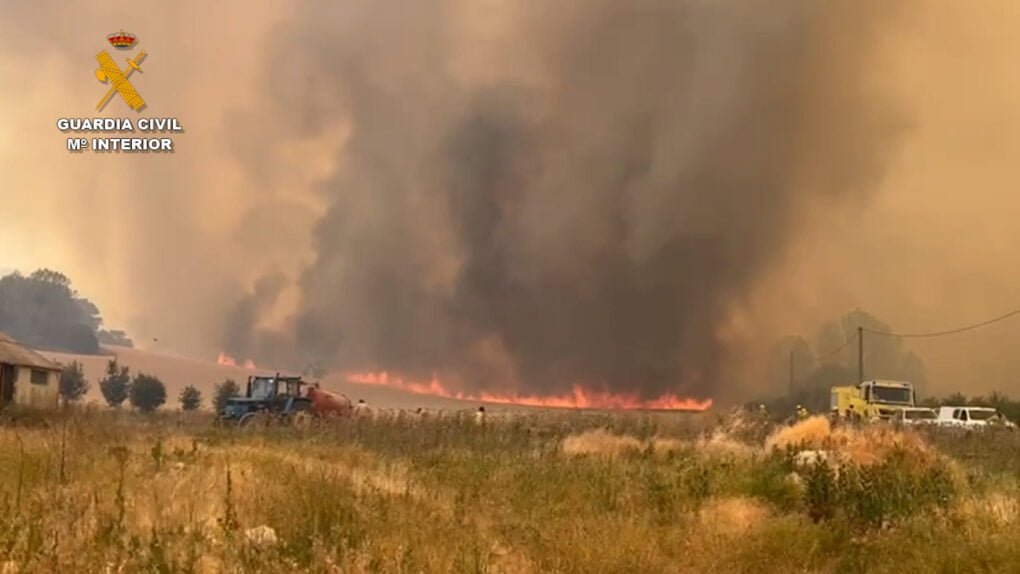 La Guardia Civil detiene al presunto autor del incendio forestal de Sabinares del Arlanza