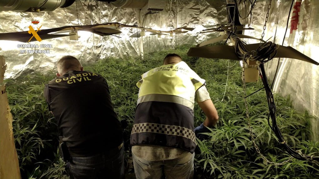Desarticulada una organización criminal dedicada al cultivo de marihuana en las cuatro provincias catalanas
