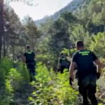 La Guardia Civil detiene a 10 personas por cultivar más de 44 toneladas de marihuana en zonas boscosas del Pirineo Aragonés
