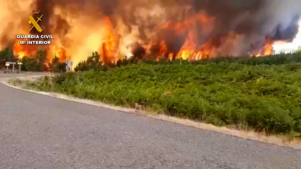 Detenido por provocar hasta 19 incendios forestales durante dos años en Cáceres
