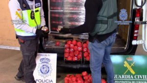 Intervenidas más de 22 toneladas de hachís camuflado en el interior de falsos tomates con destino a Francia