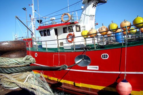 Abierto el plazo de presentación de solicitudes de las ayudas por consumo de gasóleo para buques pesqueros y almadrabas por 120 millones de euros