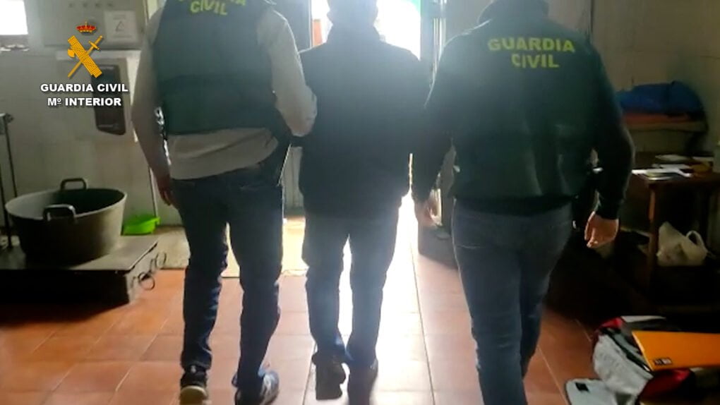 La Guardia Civil esclarece diversos robos de más de 17 toneladas de aceitunas sustraídas en la Comarca de las Vegas