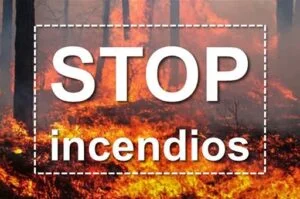 Protección Civil y Emergencias alerta por elevado riesgo de incendios forestales
