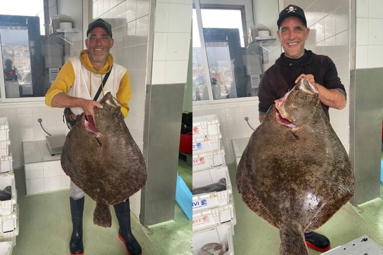 Un barco de A Guarda captura un rodaballo de 12.6 kilogramos