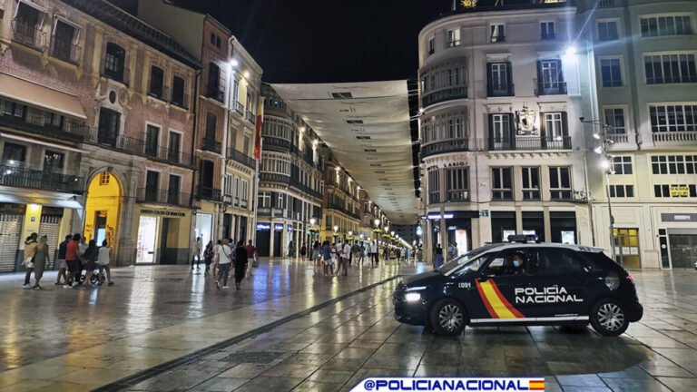 La Policía Nacional detiene a once grafiteros que provocaron 94 hechos delictivos en trenes por valor de 422.000 euros