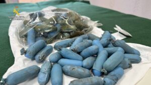 Esclarecida la muerte de una persona que transportaba cocaína en su estómago y fue abandonada en un centro de salud de La Rioja