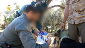 Indignante caso de maltrato animal: 58 sospechosos por mutilación de más de mil perros en varias provincias de Andalucía