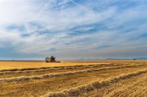 El estado emitirá una ayuda extraordinaria la cual beneficiará a mas de 139 000 agricultores