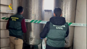 Seis personas detenidas por el hurto de más de 15 toneladas de aceituna