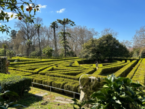 El programa "Jardines con historia" dedica su próximo capítulo al jardín del Pazo de Quiñones de León en Vigo