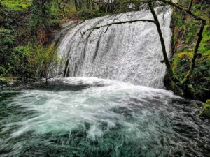 Explora las Maravillas Naturales de la Ría da Estrela: Un Viaje a la Belleza Escénica