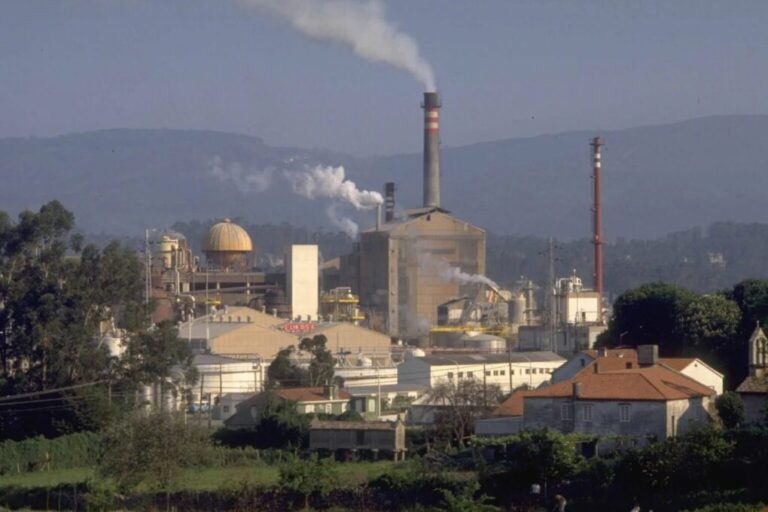 PACMA se moviliza contra la megaplanta de celulosa de Altri en Galicia