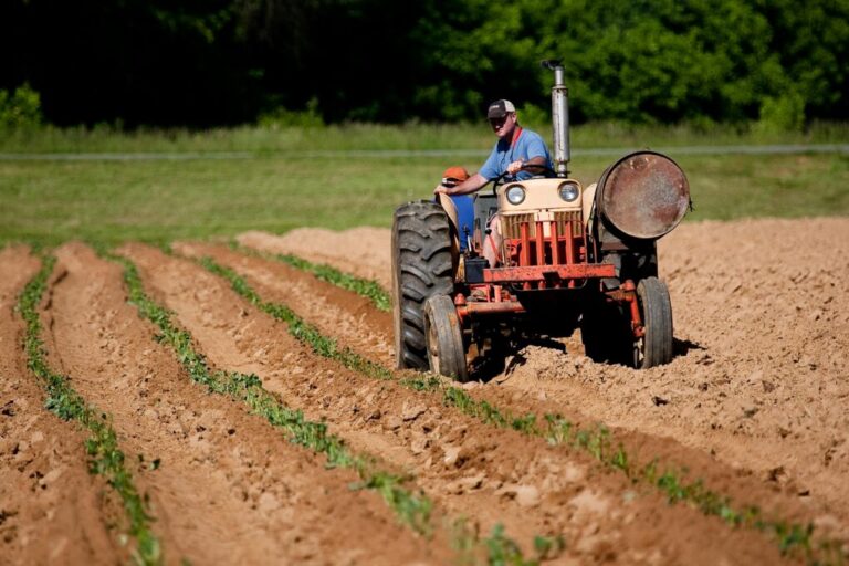 El PP denuncia la falta de compromiso del Gobierno con la inclusión financiera en el medio rural