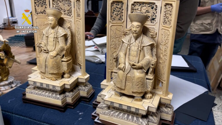 La Guardia Civil interviene 54 piezas de marfil ilegal en una operación contra el tráfico de especies protegidas
