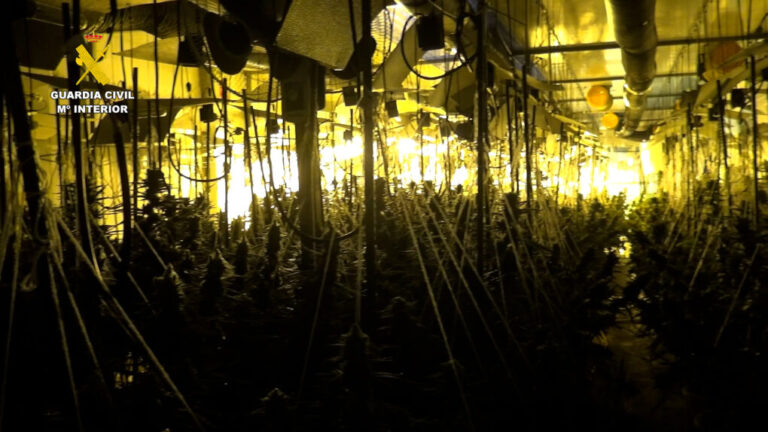 La Guardia Civil interviene 210 kg de cogollos de marihuana y detiene a una organización criminal en Zaragoza