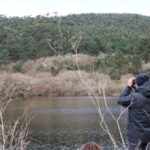 A Mariña se consolida como destino singular con rutas de geoturismo y observación de aves