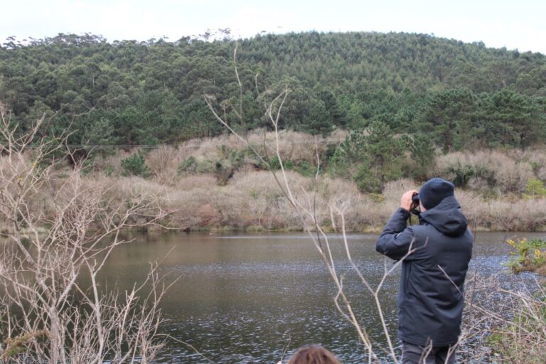 A Mariña se consolida como destino singular con rutas de geoturismo y observación de aves