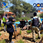 Desmantelada en Valencia una red que producía hasta 30 kilos de cocaína al día