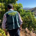 Una empresa malagueña extrajo ilegalmente más de 12 millones de litros de agua durante cinco años
