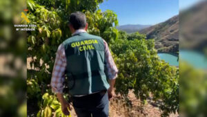 Una empresa malagueña extrajo ilegalmente más de 12 millones de litros de agua durante cinco años