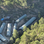 La Guardia Civil desmantela una macroplantación de marihuana con 7.700 plantas en Teruel