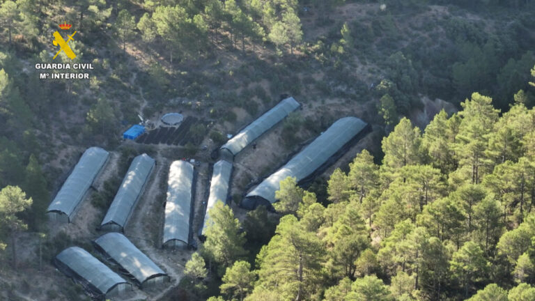 La Guardia Civil desmantela una macroplantación de marihuana con 7.700 plantas en Teruel