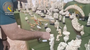 Intervenidas 127 piezas de marfil ilegal en Valencia procedente de elefantes africanos y asiáticos