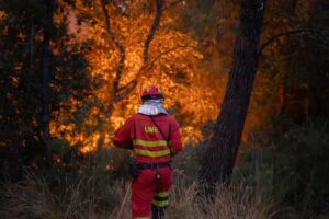 El Gobierno permitirá incluir incendios omitidos en la declaración de zona catastrófica