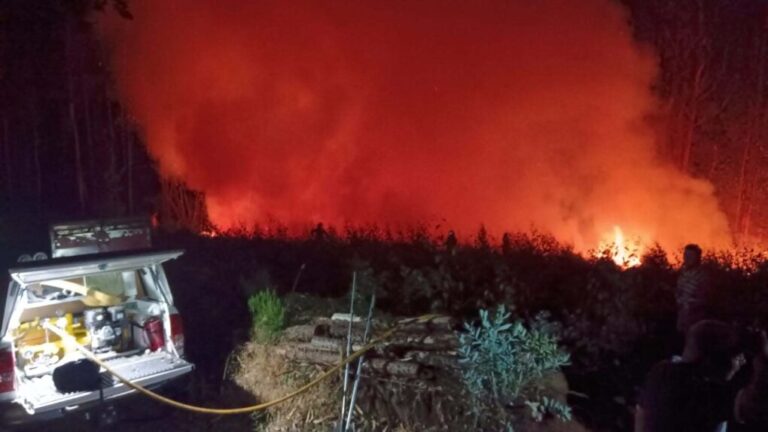 Detenidas dos personas en A Coruña por provocar ocho incendios en la Costa da Morte