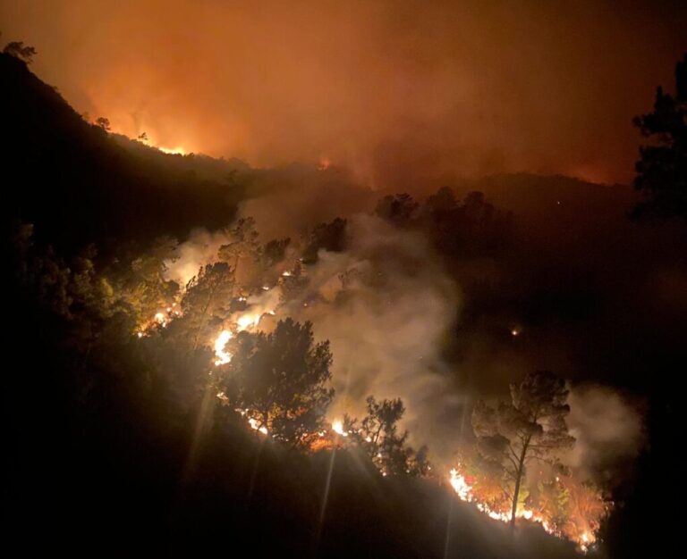 El Gobierno activa ayudas para los afectados por los 114 incendios forestales y las inundaciones del verano