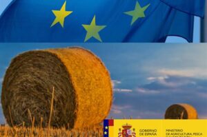 La Comisión Europea da luz verde a la modificación del plan estratégico de la PAC presentado por España