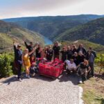 Experiencia de vendimia heroica: Regina Viarum abre al público sus viñedos en los Cañones del Sil