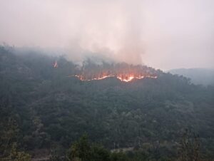 Pantón en alerta: el fuego del Sil obliga a cortar el tren Monforte–Ourense y carreteras locales