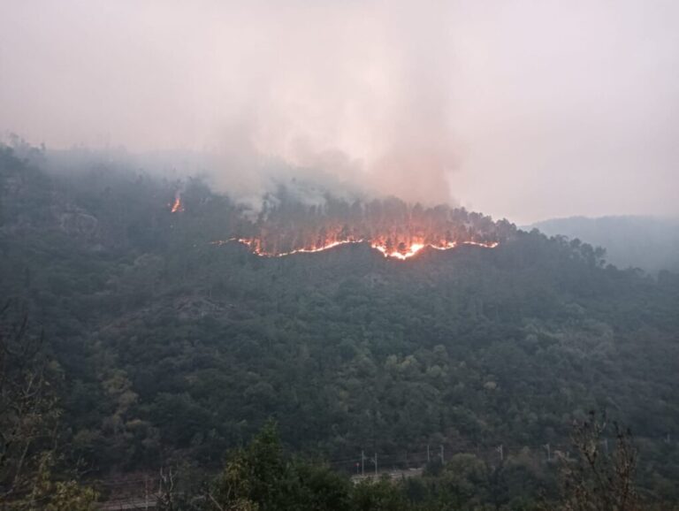Pantón en alerta: el fuego del Sil obliga a cortar el tren Monforte–Ourense y carreteras locales