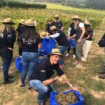 Vendimia en primera persona: la Ruta del Vino Rías Baixas lanza nueva edición de sus Buses de Vendimia