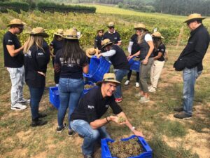 Vendimia en primera persona: la Ruta del Vino Rías Baixas lanza nueva edición de sus Buses de Vendimia