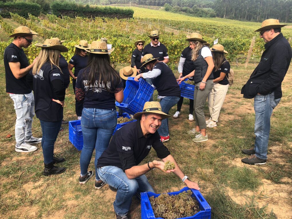 Vendimia en primera persona: la Ruta del Vino Rías Baixas lanza nueva edición de sus Buses de Vendimia