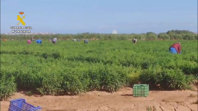 Siete detenidos por explotar a 45 trabajadores en situación irregular en fincas agrícolas de La Rioja
