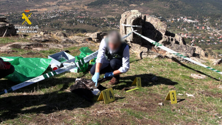 62 personas detenidas e investigadas en la operación nacional contra el uso de veneno y métodos de caza ilegales