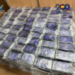 La mayor incautación del año: cocaína oculta entre fruta y un entramado empresarial bajo sospecha