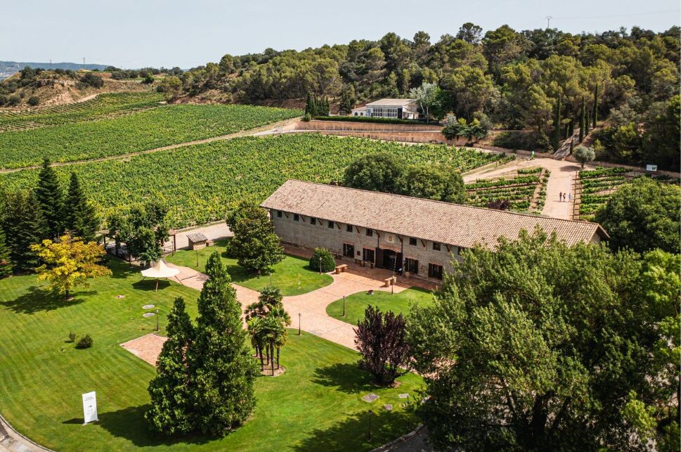 Celebra el Día Mundial del Enoturismo recorriendo las bodegas más emblemáticas de González Byass
