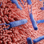 Científicos logran predecir al 100% la resistencia a antibióticos de una bacteria clave en gastritis y cáncer gástrico