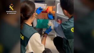 Cae una clínica estética clandestina en Los Barrios tras administrar tratamientos sin autorización sanitaria